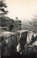 LUXEMBOURG - Petite Suisse Luxembourgeoise - L'Ile Du Diable - Promenade B - Carte Postale Ancienne - Andere & Zonder Classificatie