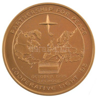 1995. "(NATO) Partnership For Peace - Cooperative Light (Partnerség A Békéért - Közös Fény) Újdörögd" Egyoldalas Fém Eml - Non Classés