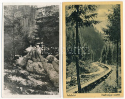 **, * 2 Db RÉGI Erdőipari Képeslap Facsúszdával: Kőrösmező és Felsővisói Vasérvölgy / 2 Pre-1945 Forestry Postcards With - Ohne Zuordnung