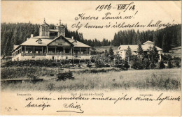 T2/T3 1906 Borszék, Borsec; Emausz Villa, Irenen Villa / Villas (EK) - Non Classés