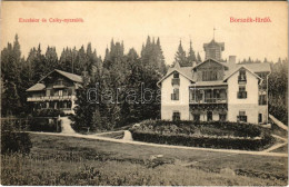 ** T2/T3 Borszék, Borsec; Excelsior és Csiky Nyaralók. Divald Károly Műintézete 1920-1908. / Villas (EK) - Ohne Zuordnung