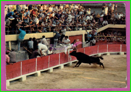 CPM Course Provençale Aux Arénes Un Taureau Noir Bull Voyagé 1978 - Toros