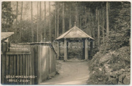 * T2/T3 1939 Zajzon, Zaizon-fürdő, Zajzonfürdő, Baile Zizin; Izvorul Regina Maria / Mária Királyné Forrás / Spa, Spring  - Unclassified