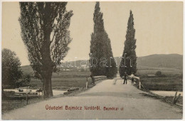 T2/T3 1910 Bajmócfürdő, Bojnické Kúpele (Bajmóc, Bojnice); Bajmóczi út, Híd. Gubits B. (Privigye) Kiadása 567. / Road, B - Ohne Zuordnung