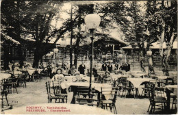 T2/T3 1909 Pozsony, Pressburg, Bratislava; Vaskutacska étterem, Kert Vendégekkel és Pincérekkel / Eisenbrünnel (Eisenbrü - Sin Clasificación