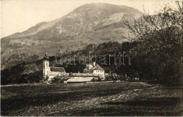 T2 1918 Aigen (Salzburg), Kirche Und Schloss Aigen, Gaisberg. Verlag Würthle & Sohn / Church And Castle, Mountain - Ohne Zuordnung