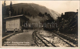 T2/T3 Schneebergbahn, Station Baumgartner / Schneeberg Cogwheel Railway's Baumgartner Station, Train (fl) - Unclassified