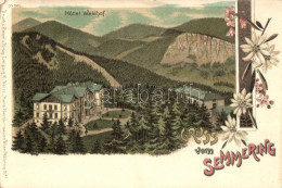 ** T2/T3 Semmering, Hotel Waldhof. Regel & Krug No. 1910. Floral, Litho (tiny Tear) - Non Classés