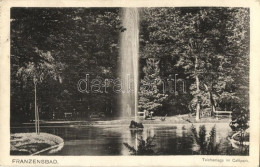 T2/T3 Frantiskovy Lazne, Franzensbad; Teichanlage Im Cafepark / Fountain In The Park (EK) - Ohne Zuordnung