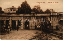 T2/T3 1910 Targu Ocna, Aknavásár; Intrarea In Saline / Salt Mine Entrance, Industrial Railway, Locomotive, Train (EK) - Zonder Classificatie