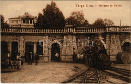 T2/T3 1910 Targu Ocna, Aknavásár; Intrarea In Saline / Salt Mine Entrance, Industrial Railway, Locomotive, Train (EK) - Unclassified