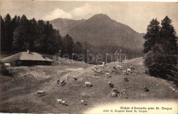 ** T1/T2 Saint-Cergue, Chalette D'Archette - Non Classés