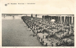 BELGIQUE - Wenduine - Brise Lame - Golvenbreker - Carte Postale - Wenduine