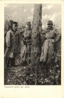 T2/T3 Huszonhét Golyó Egy Fában, Érdekes Újság Kiadása / WWI Hungarian Soldiers, 27 Bullet In The Tree (EK) - Unclassified