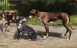 ** T3 Sighthounds, T.S.N. Serie 1823 S: Alfred Schönian (Rb) - Zonder Classificatie