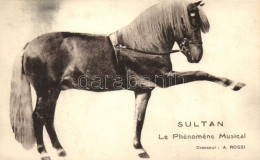 ** T1/T2 Sultan, Le Phenomene Musical / Horse, Circus Show - Unclassified