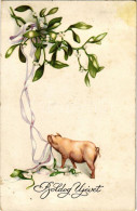 T2/T3 Boldog újévet! Malac / New Year Greeting, Pig. M.M. Nr. 671. Litho (fl) - Unclassified