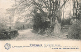 BELGIQUE - Tervueren - Le Chemin Creux - Carte Postale Ancienne - Sonstige & Ohne Zuordnung