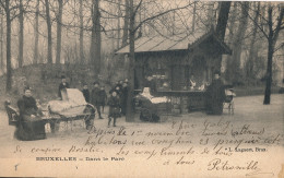 BRUXELLES   DANS LE PARC          2 SCANS - Forêts, Parcs, Jardins