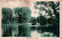 N°678  D  MONETEAU L ILE  CARTE TACHEE - Moneteau