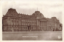 BELGIQUE - Bruxelles - Le Palais Royal - Carte Postale Ancienne - Monuments