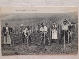 Travail De La Vigne , Les Smards - Otros & Sin Clasificación