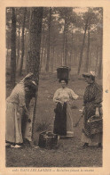 FRANCE - Dans Les Landes - Résinières Faisant La Causette - Carte Postale Ancienne - Altri & Non Classificati