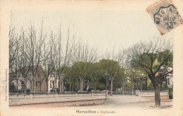 Marseillan * Esplanade De La Ville - Marseillan