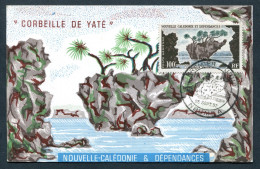 RC 26778 NOUVELLE CALEDONIE 1962 CORBEILLE DE YATÉ CARTE MAXIMUM - Cartoline Maximum