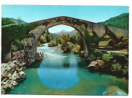 PUENTE ROMANO / PONT ROMAIN / ROMAN BRIDGE.-  CANGAS DE ONIS / ASTURIAS .- ( ESPAÑA) - Asturias (Oviedo)