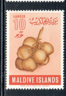 MALDIVES ISLANDS ISOLE MALDIVE BRITISH PROTECTORATE 1961 COCONUTS FRUITS LAREES 10L MNH - Maldiven (...-1965)