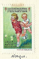 Timbre   France- - Croix Rouge - Erinnophilie -comIte National De Defense  La Tuberculose -1933 - Jeux - Vosges - Tegen Tuberculose