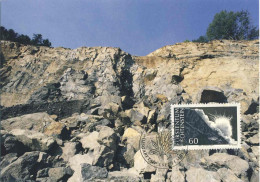 825  Minéral: Carte Maximum Liechtenstein, 1994 - Strontianit Maximum Card - Minerals