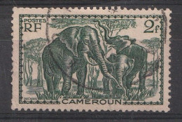 CAMEROUN YT 185 Oblitéré - Used Stamps