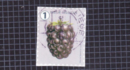 2018 Nr 4808 Gestempeld Op Fragment.Fruit (rolzegels):Grove Tanding. - Oblitérés