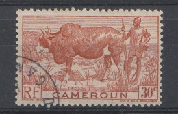 CAMEROUN YT 277 Oblitéré - Used Stamps