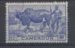 CAMEROUN YT 278 Oblitéré - Used Stamps