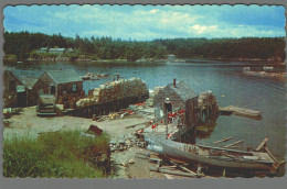 CPM - Etats Unis - A Typical Maine Fishing Village - Autres & Non Classés