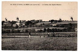 Le Côteau Des Quatre-Moulins - Saint Etienne De Montluc