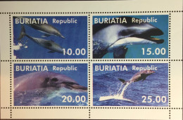 Buriatia Republic 1998 Whales Block MNH - Baleines