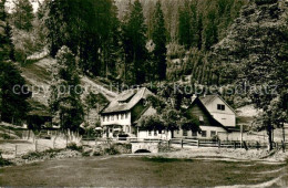 73762479 Siebertal Herzberg Forsthaus Schluft Aussenansicht Siebertal Herzberg - Herzberg