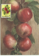 Cartes Maximum - San Marino - Fruits - Mele - Apples - Pommes - Maças - Storia Postale