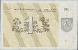 Lithuania: Lietuvos Respublika, Huge Lot With 20 Banknotes, Series 1991-1993, Wi - Lituanie