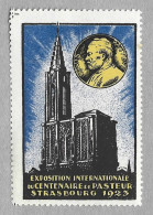 Itimbre France - Erinnophilie -exposition Internationale Du Centenaire De Pasteur  Strasbourg 1925 - Croix Rouge