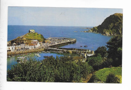 THE HARBOUR AND HILLSBOROUGH HILL. ILFRACOMBE. - Ilfracombe