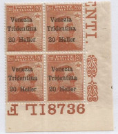 Terre Redente 1919 Trentino Venezia Tridentina H.20 Su Michetti C.20 MNH** Quartina Angolo Foglio + N° Tavola 8736 - Trentino