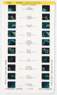 Carte STEREOSCOPE LESTRADE Film   SAVOIE AIGUILL DU MIDI Versant Français - Other Formats