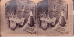Youthful Years And Maiden Beauty Joy With Them Ahould Still Abide Insinct Takes The Place Of Duty,love Not Reason Guide - Stereoscope Cards