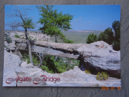 AGATE BRIDE  PETRIFIED FOREST NATIONAL PARK - Other & Unclassified