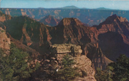 Bright Angel Point Grand Canyon National - Park Arizona - Formato Piccolo Viaggiata – FE170 - Autres & Non Classés